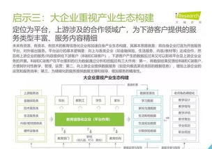 2019年中國教育信息化行業(yè)報(bào)告 信息技術(shù)咨詢服務(wù)的戰(zhàn)略角色與發(fā)展路徑